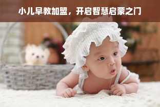 小儿早教加盟，开启智慧启蒙之门