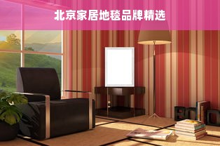 北京家居地毯品牌精选