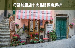 母婴加盟店十大品牌深度解析