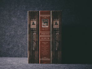 阜阳托育早教加盟店，打造孩子成长的起跑线