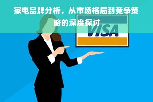 家电品牌分析，从市场格局到竞争策略的深度探讨