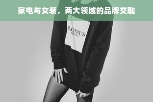 家电与女装，两大领域的品牌交融