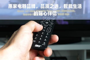 惠家电器品牌，品质之选，智能生活的贴心伴侣