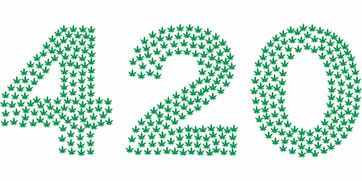 医药品牌词，解读与洞察