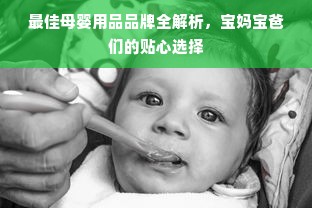 最佳母婴用品品牌全解析，宝妈宝爸们的贴心选择