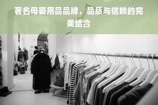 著名母婴用品品牌，品质与信赖的完美结合