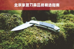 北京家居刀具品牌精选指南