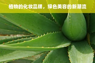 植物的化妆品牌，绿色美容的新潮流