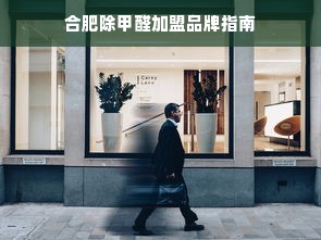 合肥除甲醛加盟品牌指南