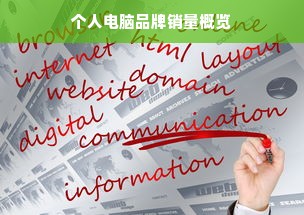 个人电脑品牌销量概览