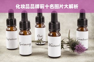 化妆品品牌前十名图片大解析