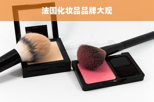 法国化妆品品牌大观