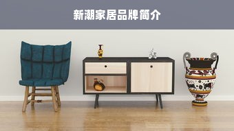 新潮家居品牌简介