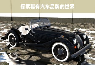 探索稀有汽车品牌的世界