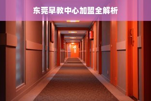 桃多多桃享卡，额度提现与分期额度全解析