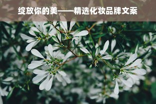 菲菲品牌特卖舞蹈鞋—舞动青春，尽享优惠！