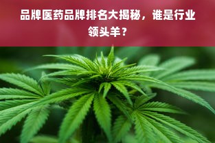 品牌医药品牌排名大揭秘，谁是行业领头羊？