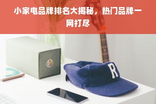 小家电品牌排名大揭秘，热门品牌一网打尽