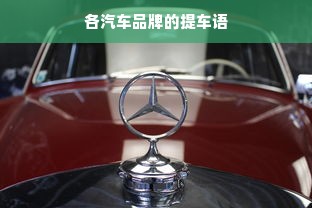 各汽车品牌的提车语