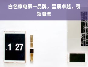 白色家电第一品牌，品质卓越，引领潮流