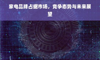 家电品牌占据市场，竞争态势与未来展望