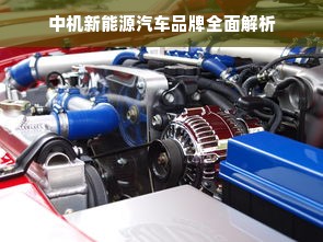 中机新能源汽车品牌全面解析