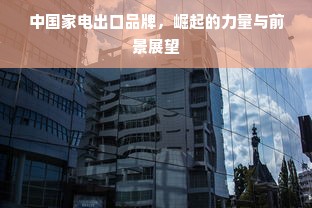 中国家电出口品牌，崛起的力量与前景展望