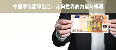 中国家电品牌出口，走向世界的力量与机遇