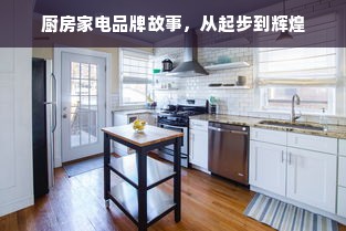 厨房家电品牌故事，从起步到辉煌