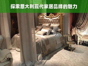 探索意大利现代家居品牌的魅力