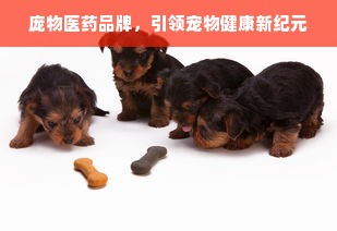 庞物医药品牌，引领宠物健康新纪元