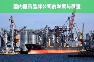 国内医药品牌公司的发展与展望
