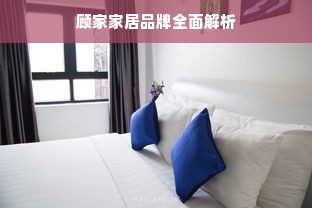 顾家家居品牌全面解析