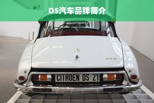DS汽车品牌简介