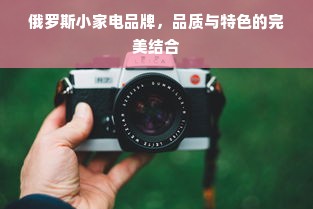 俄罗斯小家电品牌，品质与特色的完美结合