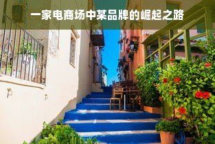 一家电商场中某品牌的崛起之路