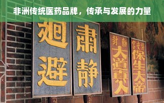 非洲传统医药品牌，传承与发展的力量