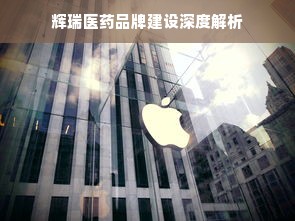 辉瑞医药品牌建设深度解析
