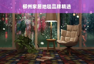 柳州家居地毯品牌精选