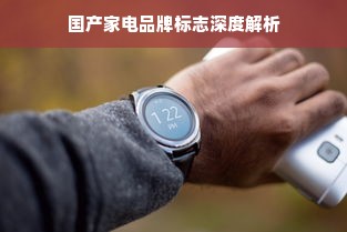 羊小咩便荔卡额度怎么套出来？羊小咩便荔卡额度会涨吧？