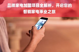 品牌家电加盟项目全解析，开启您的智能家电事业之旅