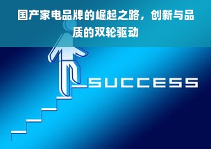 国产家电品牌的崛起之路，创新与品质的双轮驱动