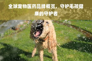 全球宠物医药品牌概览，守护毛孩健康的守护者