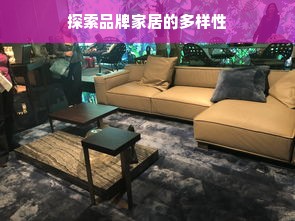 探索品牌家居的多样性