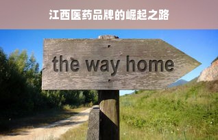 江西医药品牌的崛起之路
