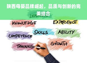 陕西母婴品牌崛起，品质与创新的完美结合