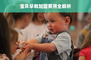京东白条额度提升攻略，从2400到5000的实用方法