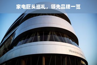 家电巨头巡礼，领先品牌一览