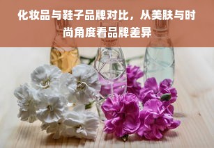 化妆品与鞋子品牌对比，从美肤与时尚角度看品牌差异