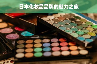 羊小咩便荔卡包额度攻略，长沙地区的实用指南